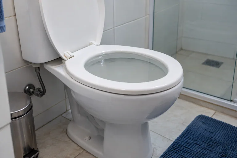 Vaso sanitário com nível de água elevado — imagem ilustrativa